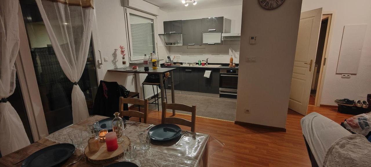 Appartement Rez-De-Chausse Dans Une Petite Ville Au Pied Du Massif Des Vosges Saverne Exterior photo
